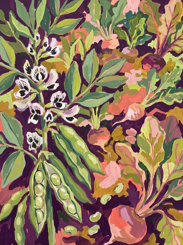 A painting of broad bean plants with black and white flowers and open pods, beetroot behind.