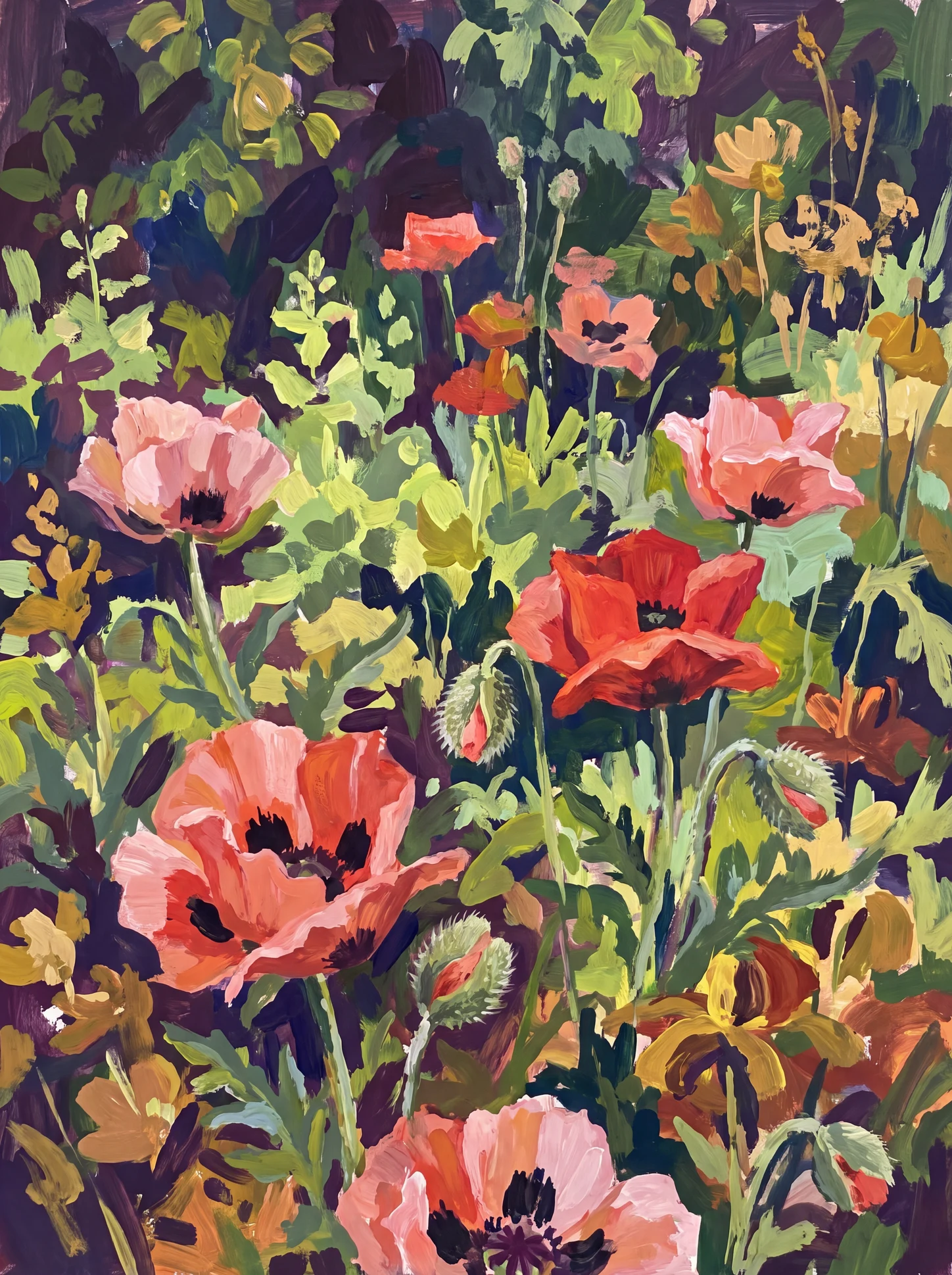 Poppies