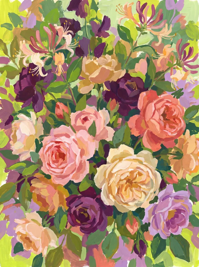 Full-blown pink, coral and plum garden roses with honeysuckle