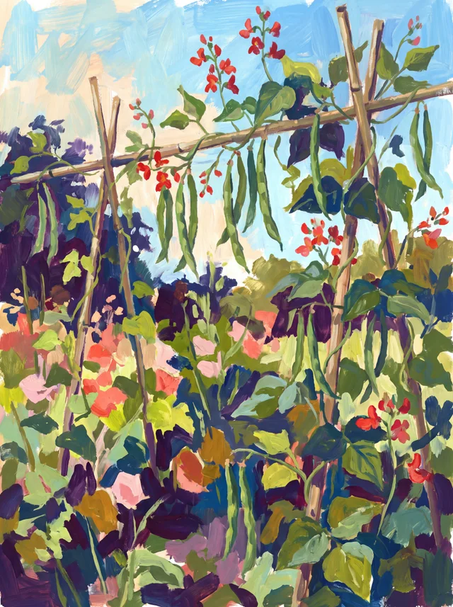 A painting of runner beans with red flowers and long green pods climbing a cane frame against a blue sky.