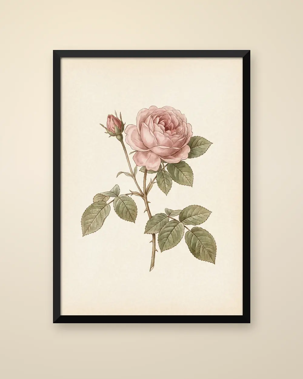 Botanical Rose as a framed poster in a black frame: one pink rose and a bud on a cream ground.