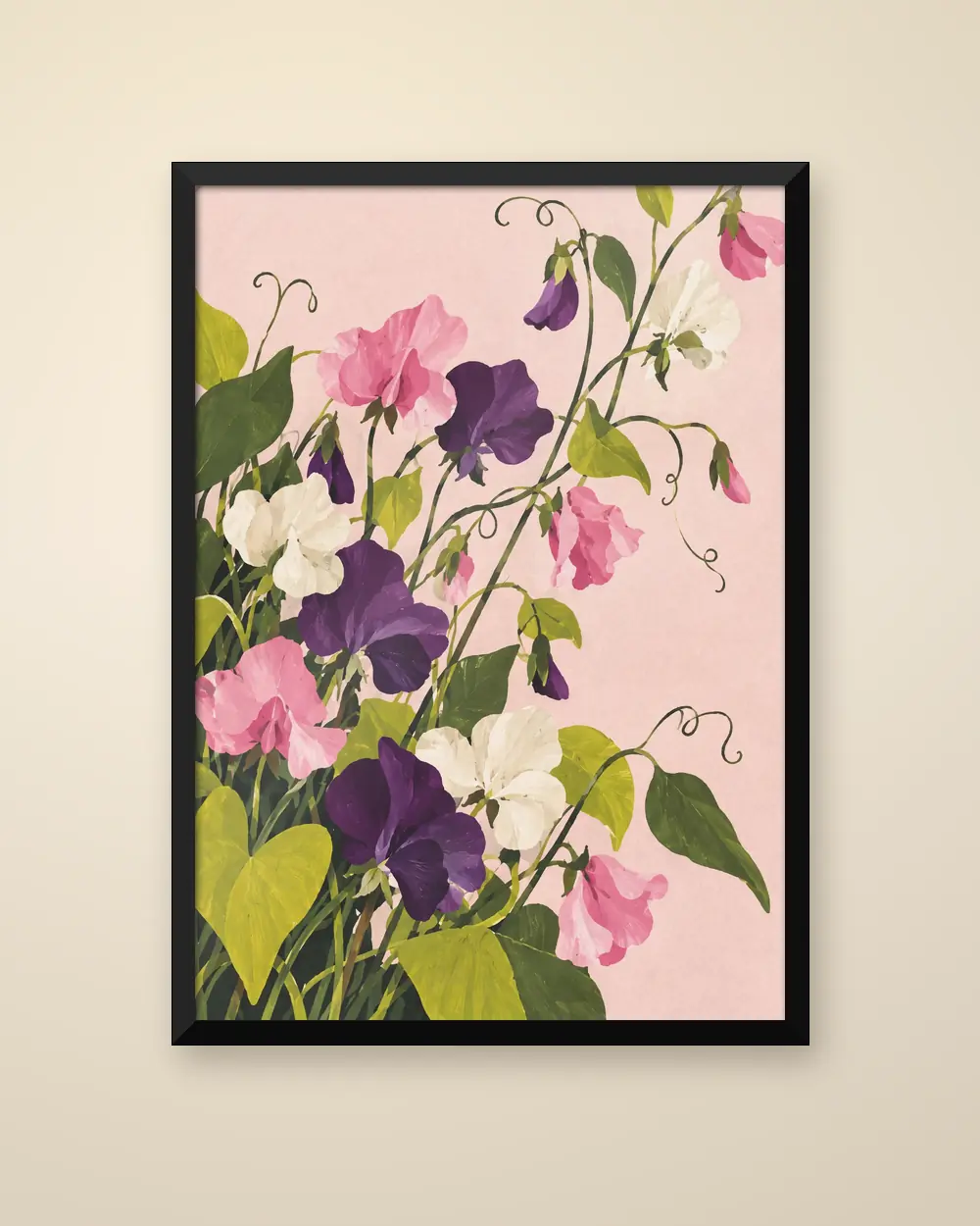 Sweet Peas, Still Climbing (gouache style) in a plain black frame on a pale wall